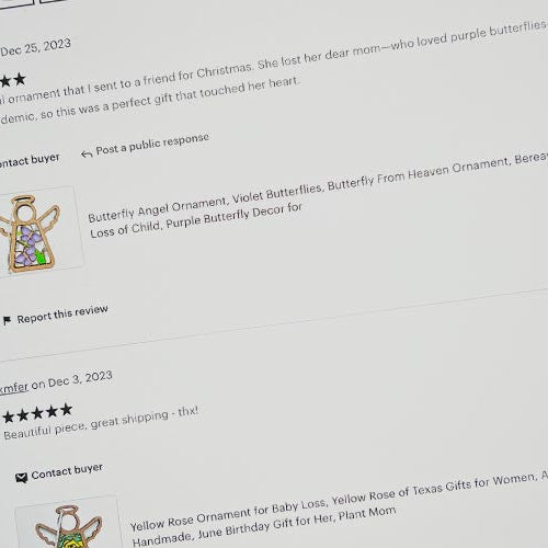Computer screen displaying a product review with user comments and ratings.