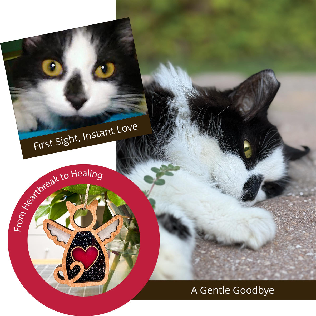 Widget, our beloved black and white cat lying down on her last day with us. Text reads: "A Gentle Goodbye." A Petfinder photo, the first photo I saw of Widget. Text reads: "First Sight, Instant Love." An black cat angel ornament hanging from a plant. Text reads: "From Heartbreak to Healing."